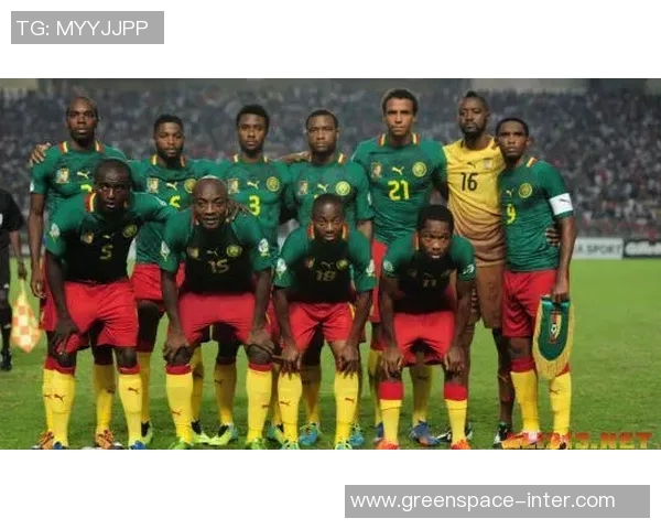 世界杯精彩对决墨西哥与喀麦隆的激烈碰撞与历史回顾