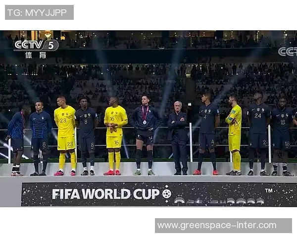 法兰西与澳大利亚的激烈对决：一场足球盛宴的背后故事与精彩瞬间