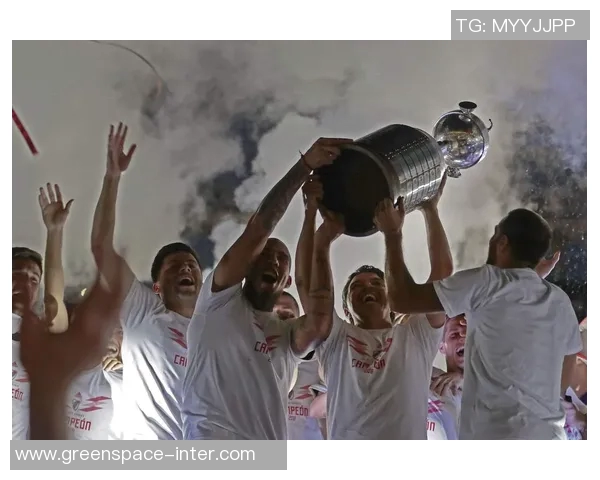 解放者杯激战正酣各队争夺荣耀与梦想的巅峰对决