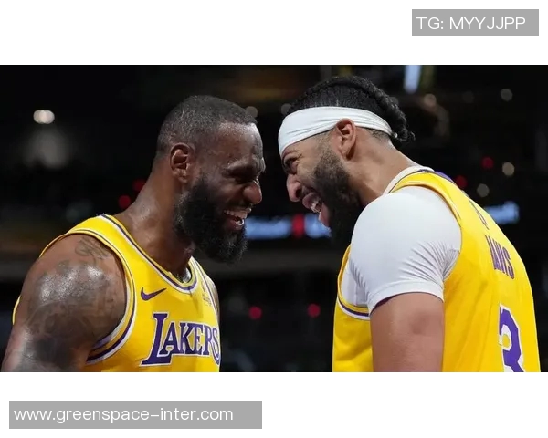 湖人对阵精彩时刻在线直播全程回顾与分析