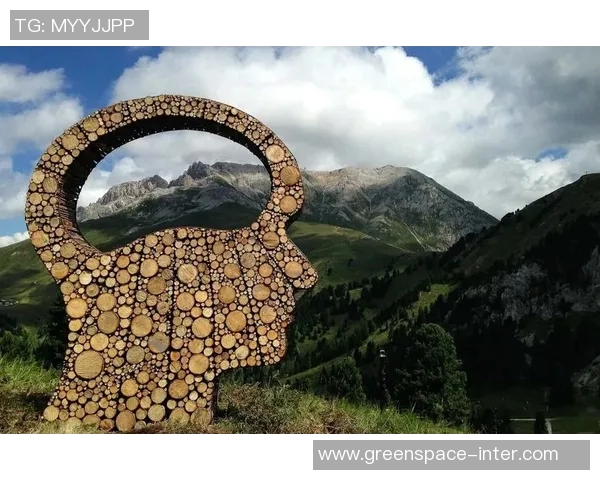 加莱诺的艺术之旅：探索灵感与创作背后的故事与哲学