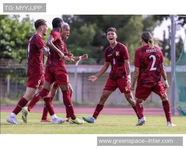 维踢者主场迎战汉诺威全力争胜力争积分榜上升